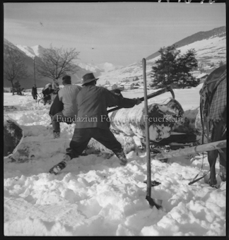 Holzer im Winter 1948