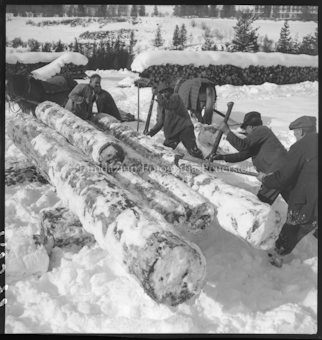Holzer im Winter 1948
