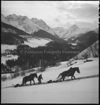 Holzer im Winter 1948