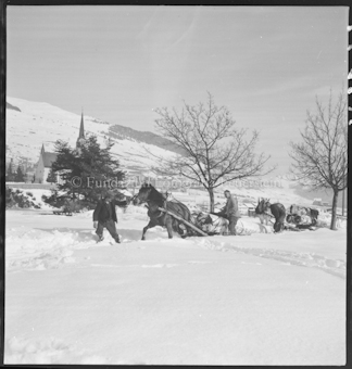 Holzer im Winter 1948