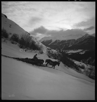 Holzer im Winter 1948