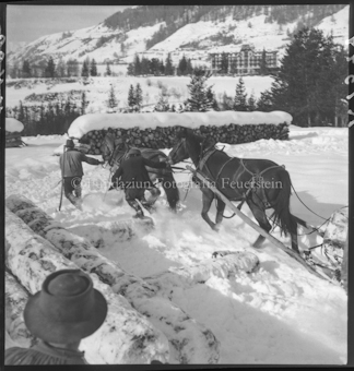 Holzer im Winter 1948