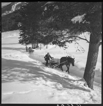 Holzer im Winter 1948