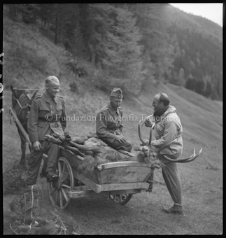 Hirschjagd, «Mic», Hirsch auf dem Wagen