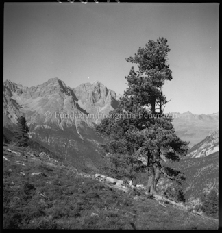 Piz Pisoc