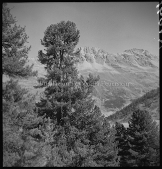 Piz Plazèr von Astras aus