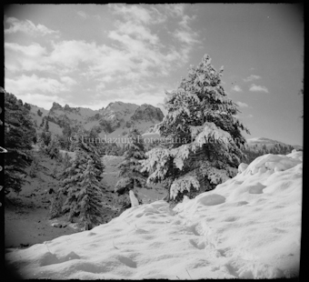 Motiv aus S-charl, S-charltal (Keller)
