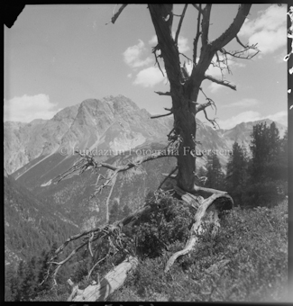 Aus dem S-charltal, Piz Madlain