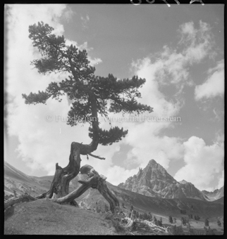 Piz Plavna vom Val Mingèr aus