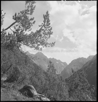 Val Cluozza, Piz dal Diavel