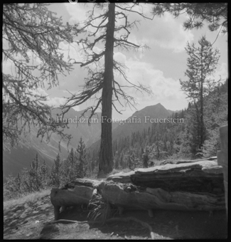 Berglandschaft mit Lärchen