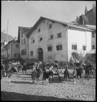 Scuol Dorfplatz mit Ziegen bei Haus Wildtal