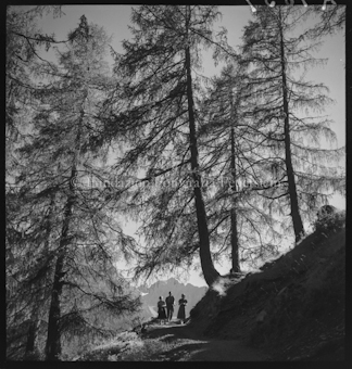 Wanderaufnahme auf dem Wege nach Ftan