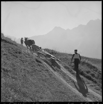 Pferdegespann mit Holz