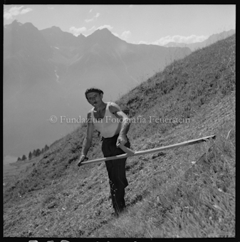 Mann am Mähen mit Sichel