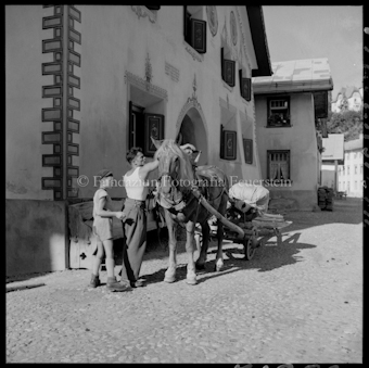 Pferdegespann, Mann und Junge