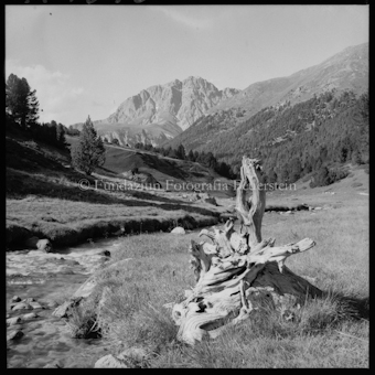 S-charltal, Blick von Schombrina auf Madlain
