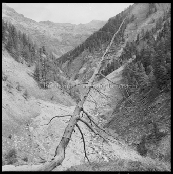 Nationalpark Val Müschauns