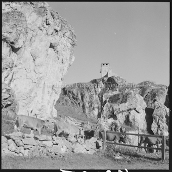 Ardez, Ruine Steinsberg