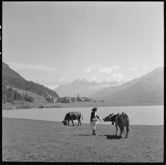 Frau und Zwei Kühe vor See, Dorf im Hintergrund