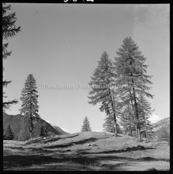Schwarzsee Motiv