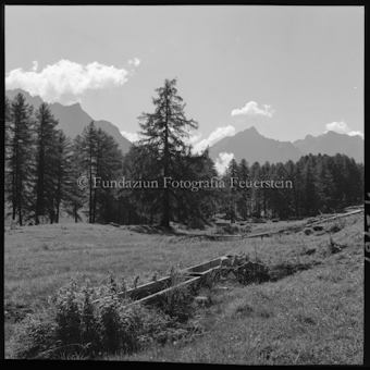 Berglandschaft