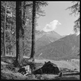 Berglandschaft