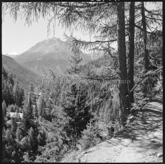Berglandschaft