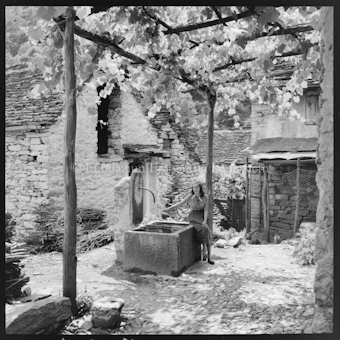 Junge Frau an Brunnen, Laube
