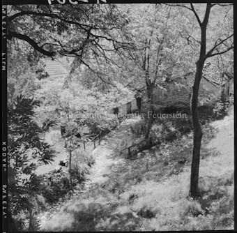 Val Muggio, Waldpartie bei Casima