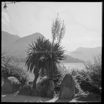 Lugano, Quai mit Monte Brè