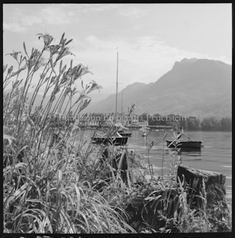 Lugano, Quai