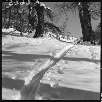 Skispuren im Schnee