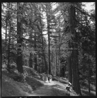 Pontresina Waldweg