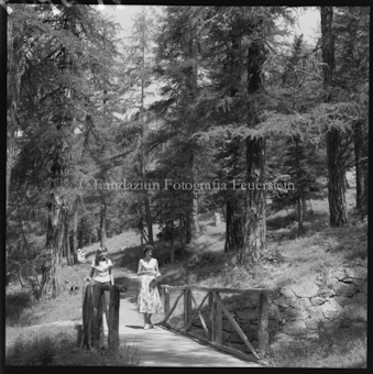 Pontresina Waldweg