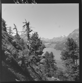 Landschaftsaufnahme mit See und Arven