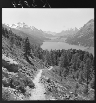 Wanderweg, Wald und See