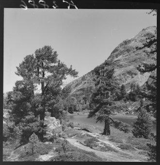 Berglandschaft mit Arven