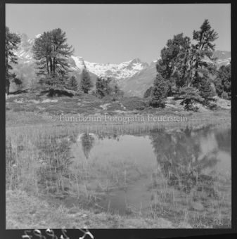 Bergsee