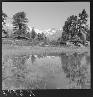Bergsee