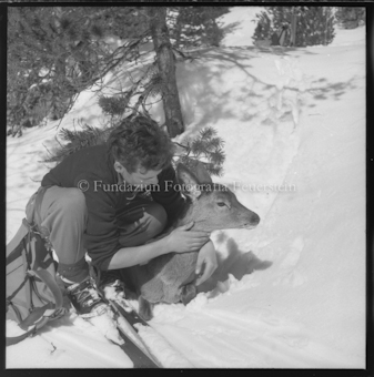 Mann mit jungem Hirsch im Schnee