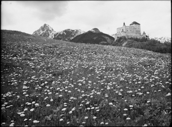 Schloss Tarasp mit Blumenwiese