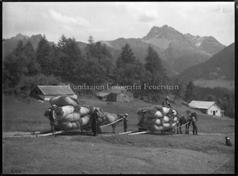 Ardezer Alpen