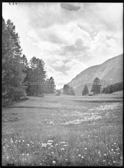 Engadin, Blumenwiese mit Waldrand links und Berghang im Hintergrund rechts