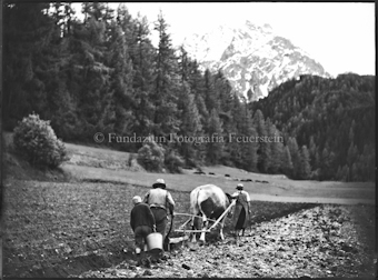 Engadin, Bauern auf dem Feld, Piz Pisoc im Hintergrund