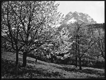 Piz Lischana von Scuol aus