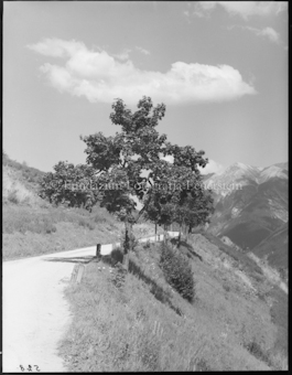 Zwischen Scuol und Sent