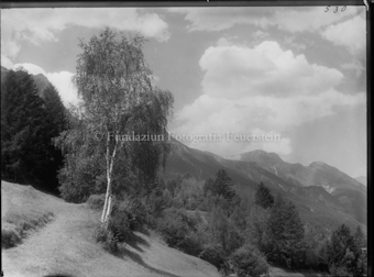 Motiv, Landschaft mit Weg und Birken