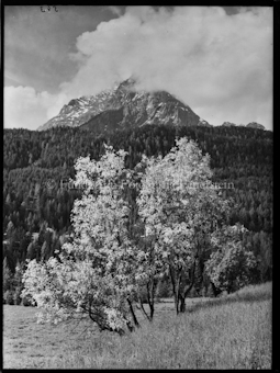 Motiv bei Scuol