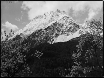 Piz Pisoc